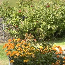 Flowers. Flowers.