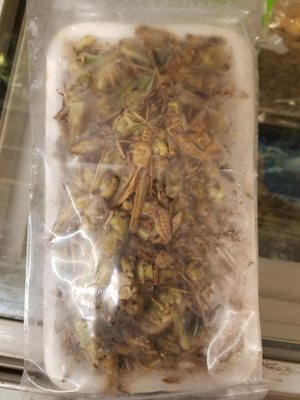 Thai Thai Grocery by null