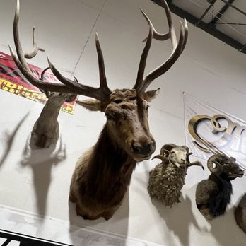 Impact Archery - Archery Near Me - Las Vegas, Nevada