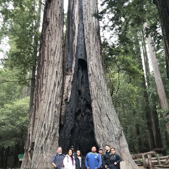 Big Basin Redwoods State Park - Parks Near Me - Boulder Creek, California