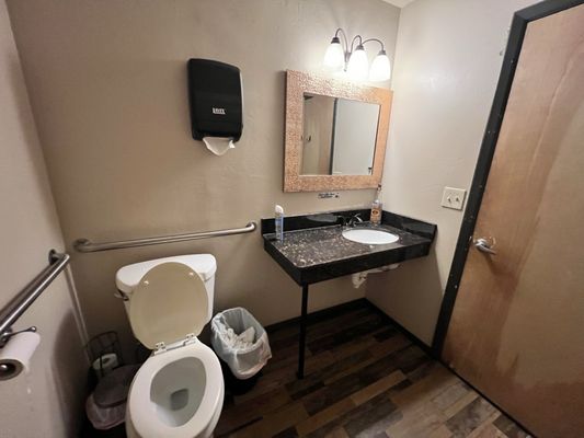 Loungin' Lizard by null