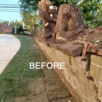 Brothers Designs - The Wall & Stumps Before the transformation. - Landscaping Near Me - Silver Spring, Maryland Brothers Designs - The Wall & Stumps Before the transformation. - Landscaping Near Me - Silver Spring, Maryland