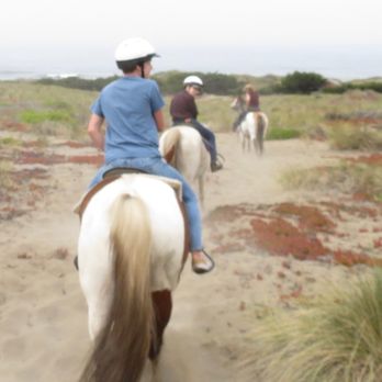 Chanslor Ranch - Guest Houses Near Me - Bodega Bay, California