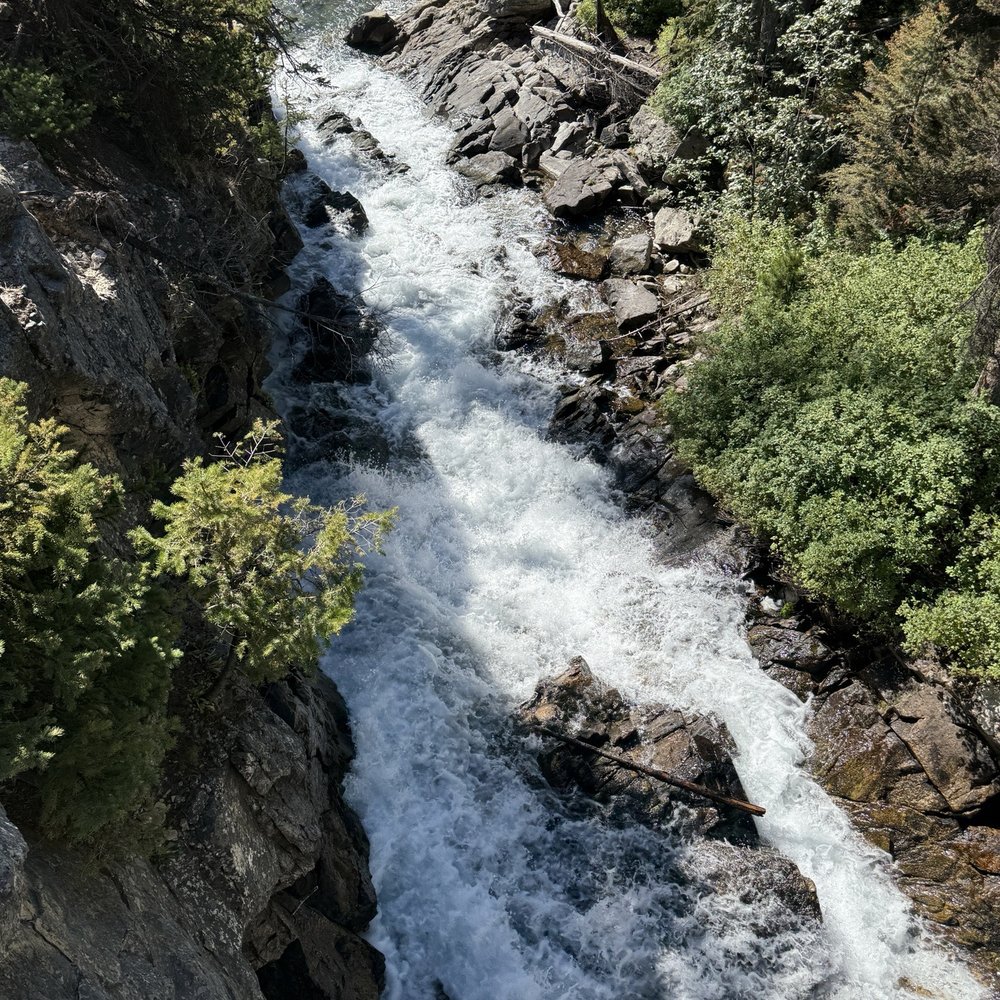 Yellowstone Day Tours - Tours Near Me Yellowstone Day Tours - Tours Near Me
