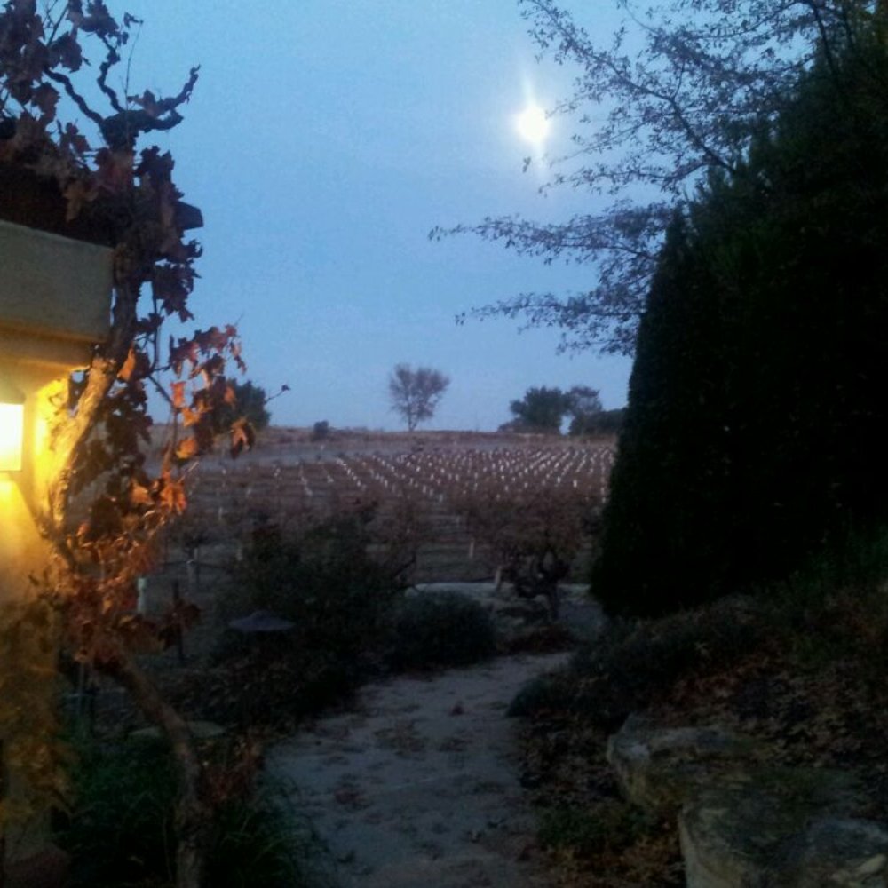 Castoro Cellars - Late Autumn moon - Wineries Near Me - Templeton, California Castoro Cellars - Late Autumn moon - Wineries Near Me - Templeton, California
