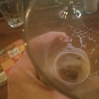 Artie's - Almost drank the bug in the beer - American Near Me - Fairfax, Virginia Artie's - Almost drank the bug in the beer - American Near Me - Fairfax, Virginia