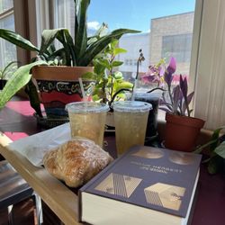 Prairie Lights Books in Iowa City gift card