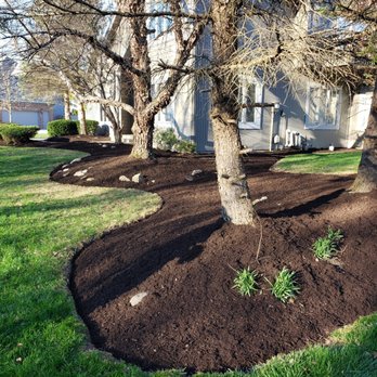 Domingo Green Leaf Lawn Care - Landscaping Near Me Domingo Green Leaf Lawn Care - Landscaping Near Me