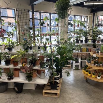Garden Grove Organics - Nurseries & Gardening Near Me - Covington, Kentucky Garden Grove Organics - Nurseries & Gardening Near Me - Covington, Kentucky