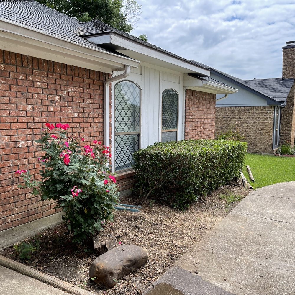 Extreme Tree Service - Another view after tree removal and cleanup. - Tree Services Near Me