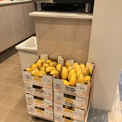Real Fruit Bubble Tea - Really fresh mangos