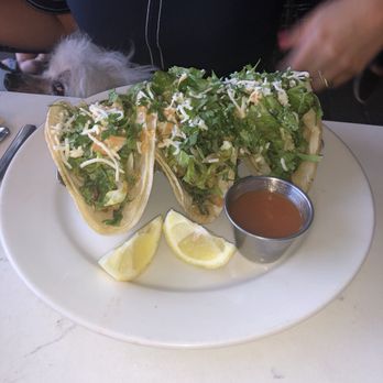 bellagreen - Spicy Shrimp Tacos (GF) - American Near Me - Houston, Texas bellagreen - Spicy Shrimp Tacos (GF) - American Near Me - Houston, Texas