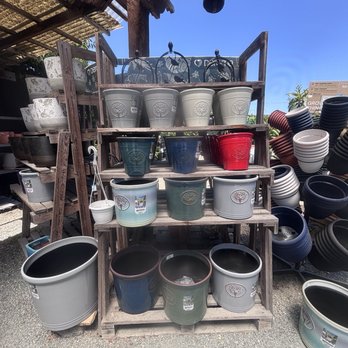 Evergreen Nursery - Nurseries & Gardening Near Me - San Leandro, California Evergreen Nursery - Nurseries & Gardening Near Me - San Leandro, California