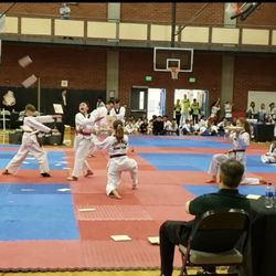 Master Kwon's Tiger Kicks Martial Arts