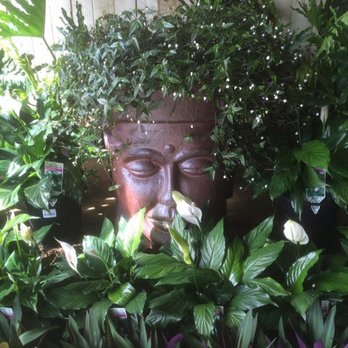 Rosemount Nursery Garden Centre - Nurseries & Gardening Near Me - Rosemount, QLD