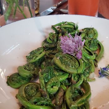 Sylvan Table - Fiddlehead - New American Near Me - Sylvan Lake, Michigan Sylvan Table - Fiddlehead - New American Near Me - Sylvan Lake, Michigan