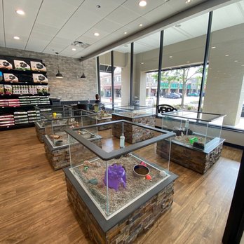 Petland Kingsdale-Upper Arlington - Pet Stores Near Me - Columbus, Ohio Petland Kingsdale-Upper Arlington - Pet Stores Near Me - Columbus, Ohio