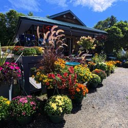 Ossipee Trail Garden Center - Fall color are here!