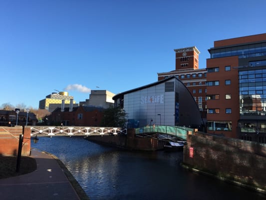 National SEA LIFE Centre Birmingham by null