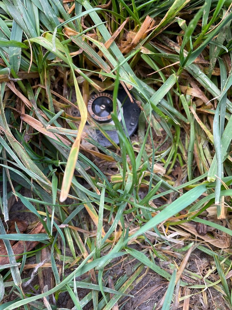 JUST SPRINKLERS Updated September 2024 25 Photos & 51 Reviews