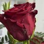 Photo of Enid Floral & Gifts