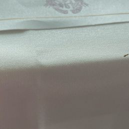 Ant on the table Ant on the table
