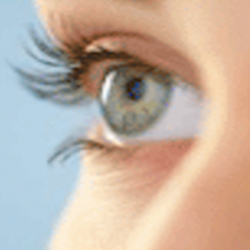 Fairmont Optical