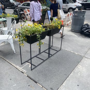 Bluestone Lane Upper West Side Café - love the plants - Coffee & Tea Near Me - New York, New York