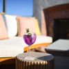 Graduate by Hilton Palo Alto gift card