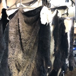 Bison pelts and coats. Bison pelts and coats.