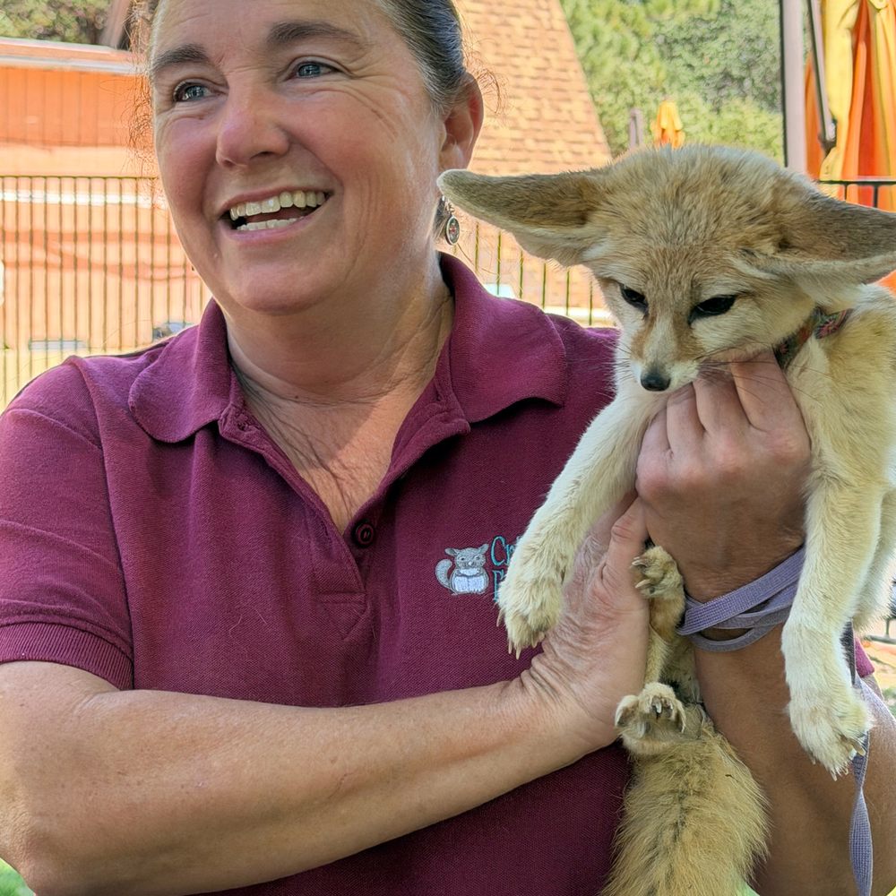 Critter Encounters - Andrea with a Fennec Fox - Special Education Near Me - Poway, California