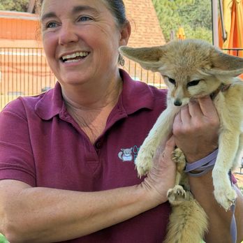 Critter Encounters - Andrea with a Fennec Fox - Special Education Near Me - Poway, California Critter Encounters - Andrea with a Fennec Fox - Special Education Near Me - Poway, California