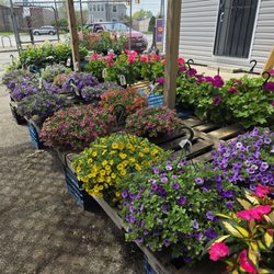 Ziggy's Produce and Farm Market
