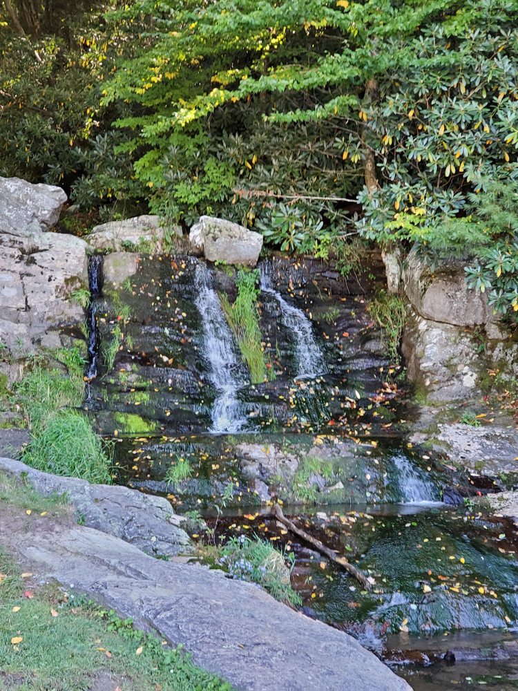 Waterfalls Park Logo