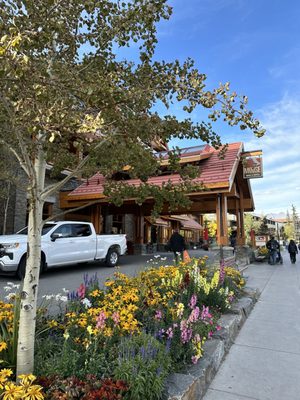 Moose Hotel & Suites by null