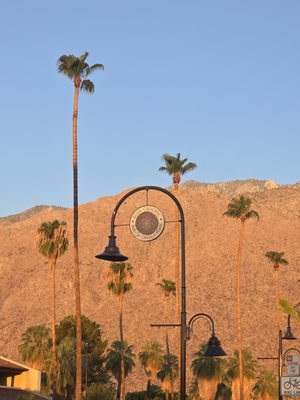 Agua Caliente Cultural Museum by null