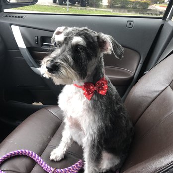 Bark Avenue - Pet Groomers Near Me - Cedar Park, Texas
