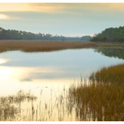 Savannah Sunset Cruises