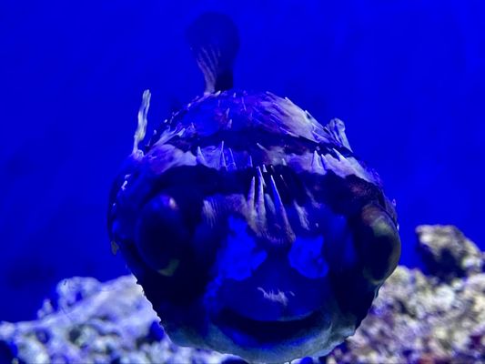 Pittsburgh Zoo & Aquarium by null