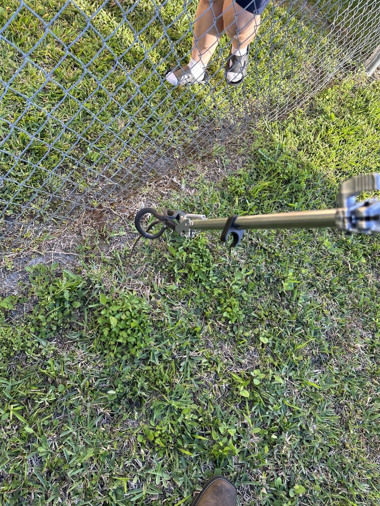 CATCH’EM WILDLIFE REMOVAL Poinciana, Florida Pest Control Phone