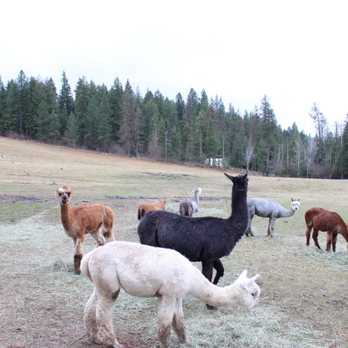 Seven Stars Ranch - Ranches Near Me - Coeur d'Alene, Idaho Seven Stars Ranch - Ranches Near Me - Coeur d'Alene, Idaho