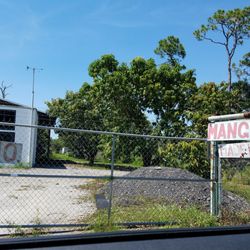 The Mango Factory - The entrance? Not sure.