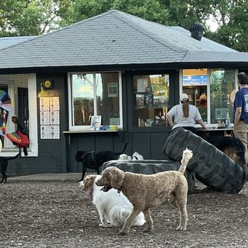 The Watering Bowl - Hooman beverages - Dog Parks Near Me - Austin, Texas The Watering Bowl - Hooman beverages - Dog Parks Near Me - Austin, Texas
