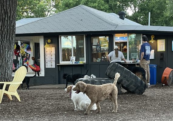 The Watering Bowl by null