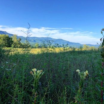 Smoky Mountain Ebike Adventures - Bike tours Near Me Smoky Mountain Ebike Adventures - Bike tours Near Me