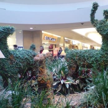 CF Sherway Gardens - Shopping Centers Near Me - Etobicoke, Ontario