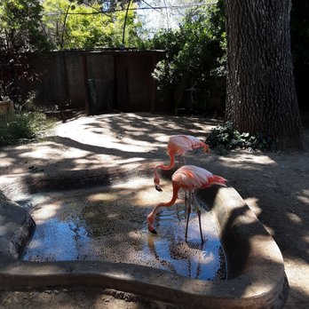 Central Coast Zoo - Zoos Near Me - Atascadero, California Central Coast Zoo - Zoos Near Me - Atascadero, California