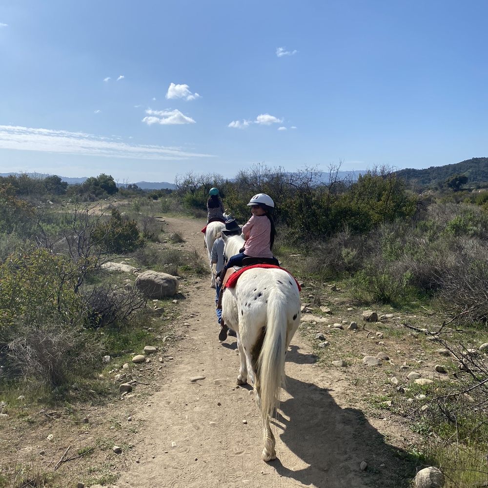 Equine Xscape - Horses - Horseback Riding Near Me - Ojai, California
