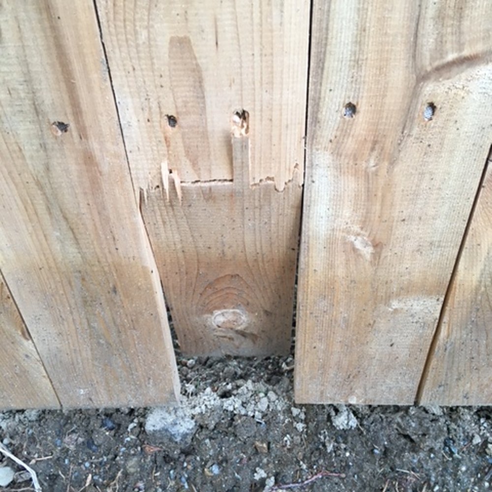 Patriot Fence Crafters - Broken boards - Fences & Gates Near Me - Danvers, Massachusetts Patriot Fence Crafters - Broken boards - Fences & Gates Near Me - Danvers, Massachusetts