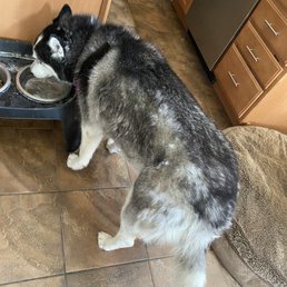 This is what she looked like AFTER.